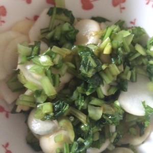 大根の間引き菜の漬物 O O レシピ 作り方 By りぽひめ 楽天レシピ 大根の間引き菜の漬物 O O レシピ 作り方 By りぽひめ 楽天レシピ